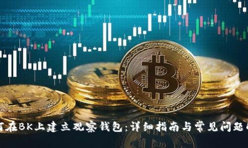 如何在BK上建立观察钱包：详细指南与常见问题解答