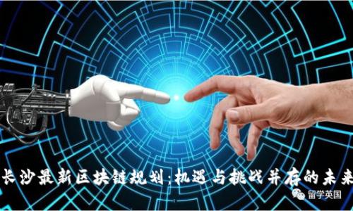 长沙最新区块链规划：机遇与挑战并存的未来